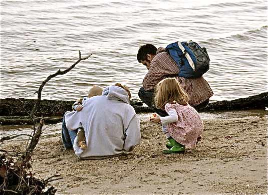 Combers Margaret, Richard, Abby & James, searching for fossil shark teeth, Calvert Cliffs, MD